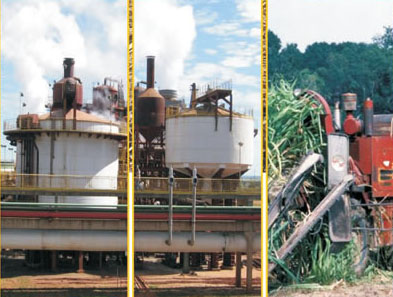Sugar Machinery Mill